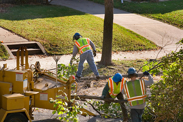 Lawn Renovation and Restoration in Lake Wissota, WI